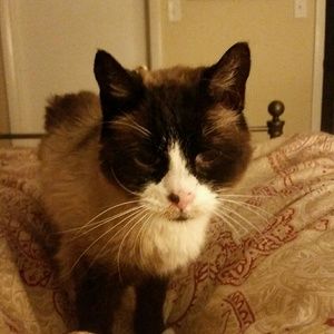 Meet your Posher, Jayne