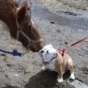 Meet your Posher, Linda