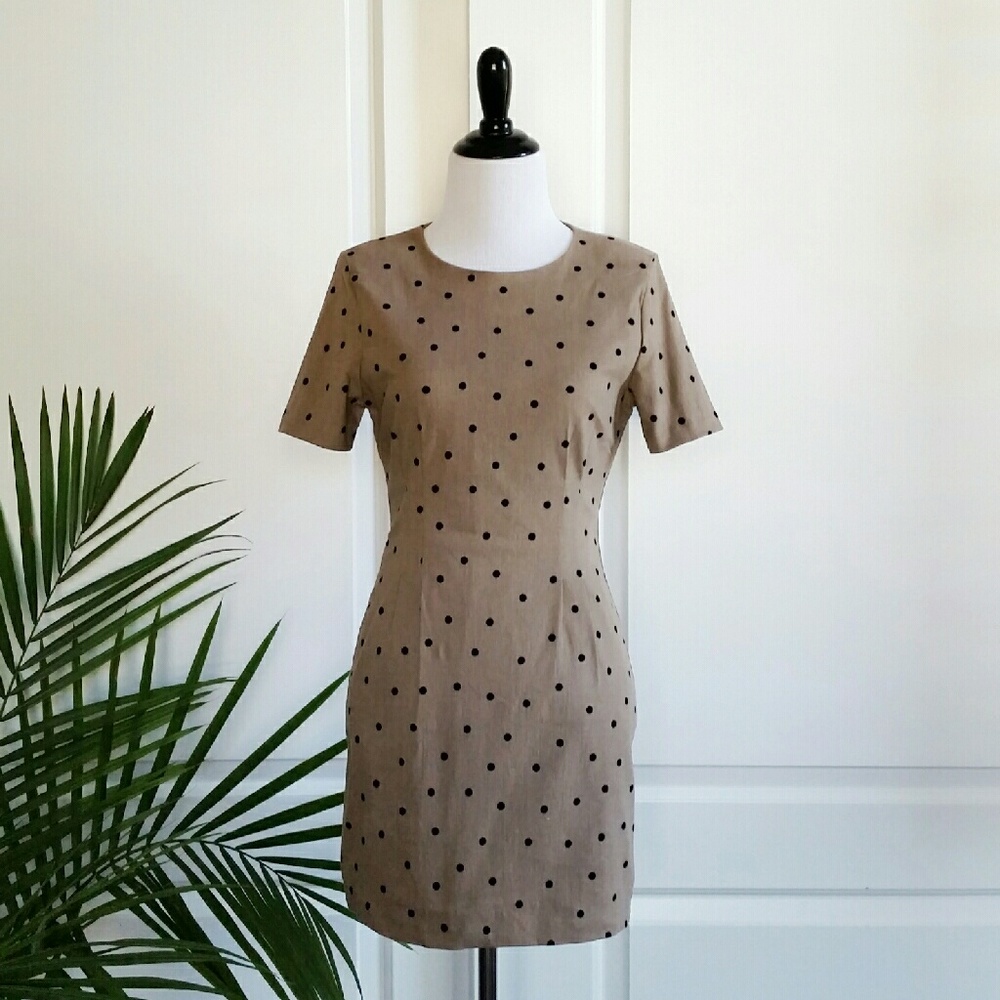 Polka Dot Short Sleeve Sheath Dress