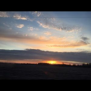 Meet your Posher, Molly