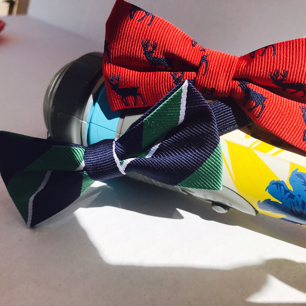 JANIE and JACK Bowtie - Picture 4 of 6