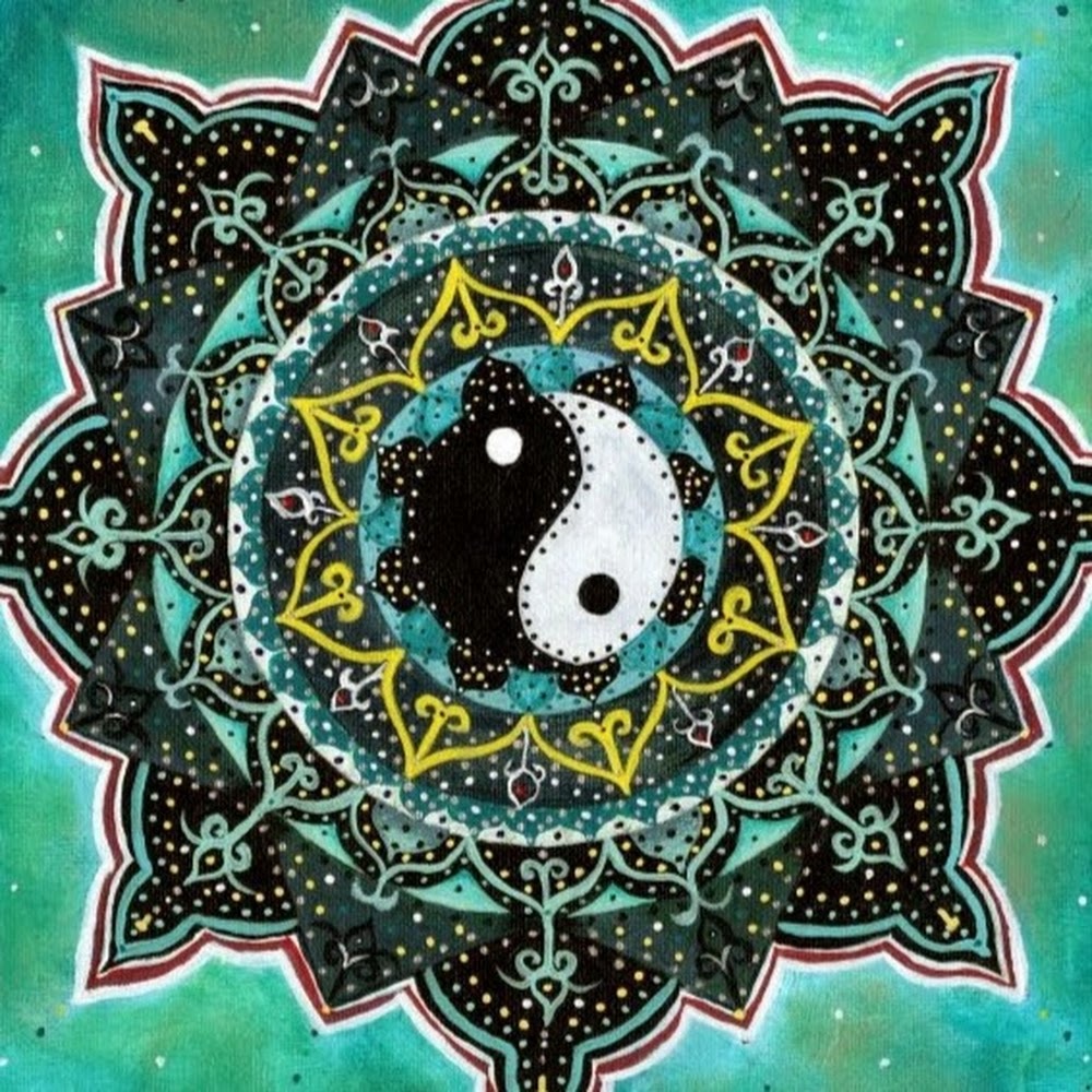 Meet your Posher, Phillis