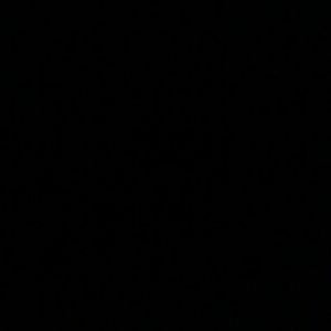 Meet your Posher, Ingrid