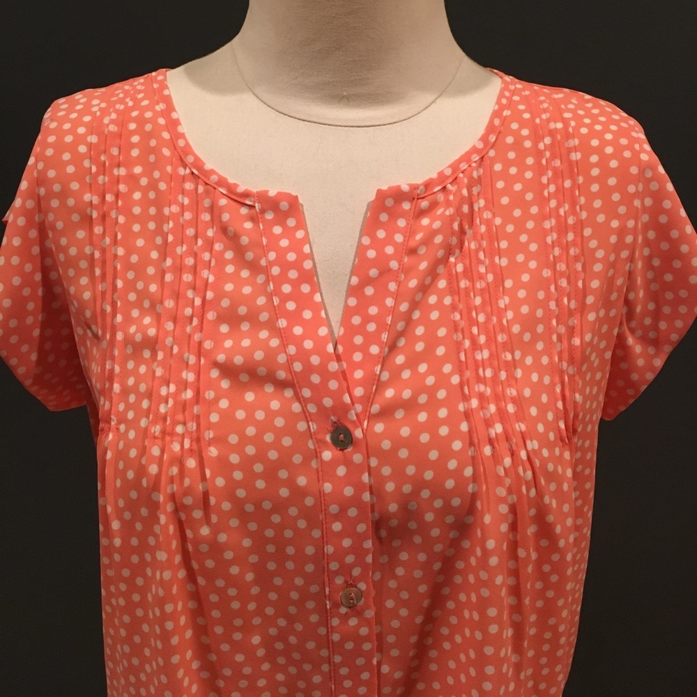 NWT Alice Blue Blouse (from Stitch Fix)