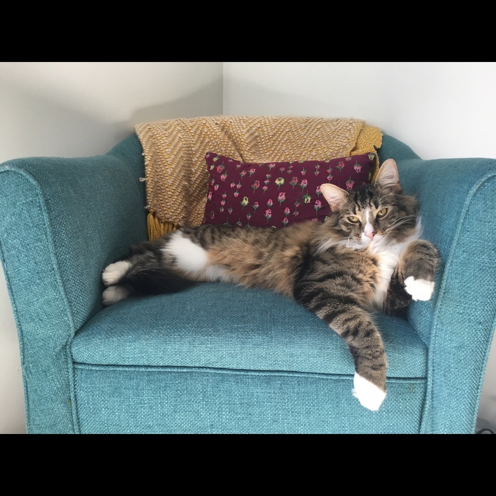 Meet your Posher, Chris