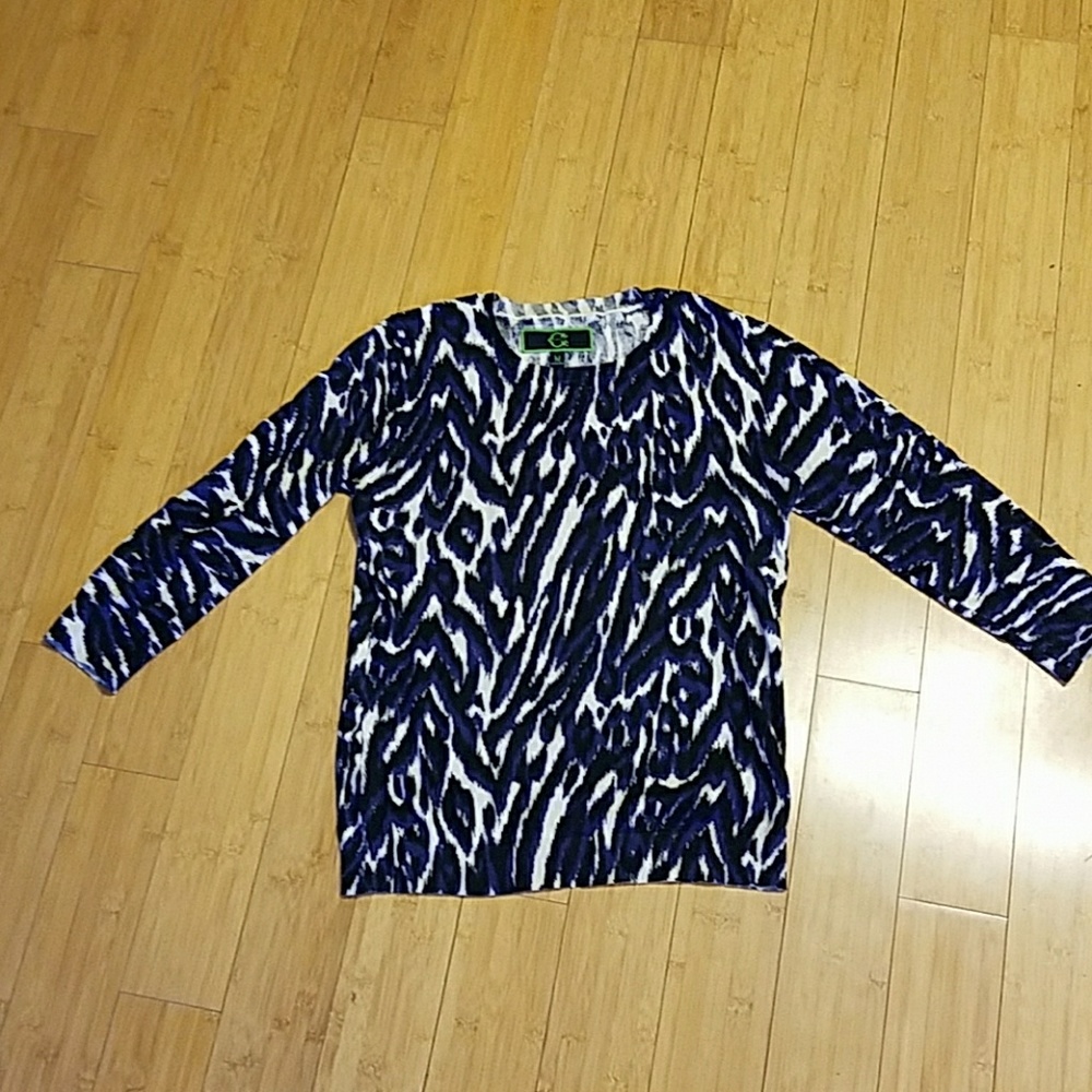 Blue zebra print sweater