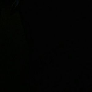 Meet your Posher, Jane