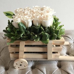 Meet your Posher, Claudia