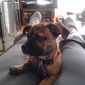 Meet your Posher, Marsha