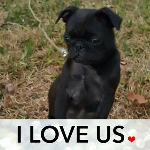 Meet your Posher, Angel