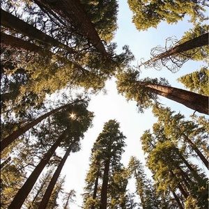 Meet your Posher, Sandy