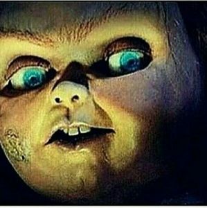 Meet your Posher, Will