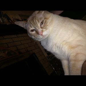 Meet your Posher, Larsson