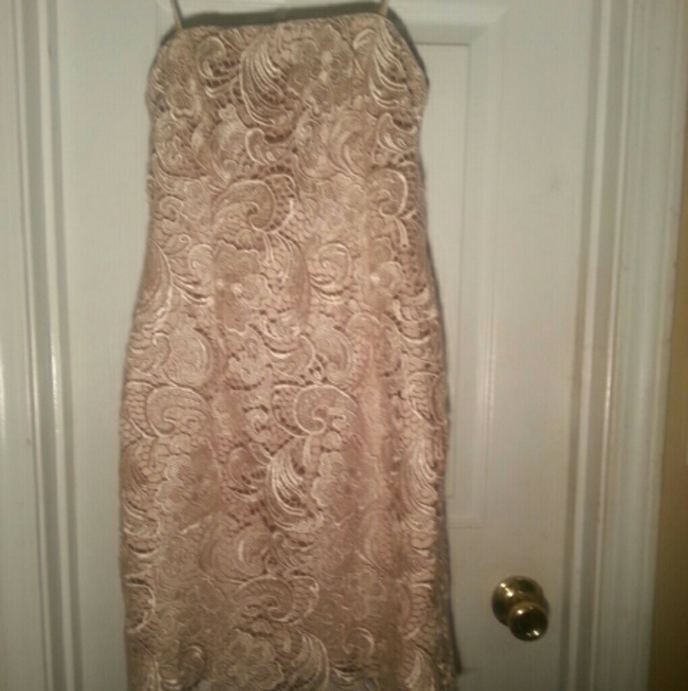 Adrianna Papell Lace Evening Dress | Champagne - Picture 3 of 5