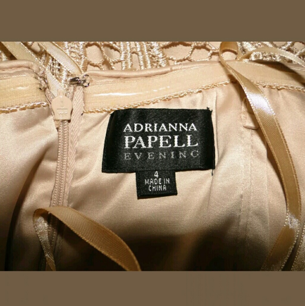 Adrianna Papell Lace Evening Dress | Champagne - Picture 5 of 5