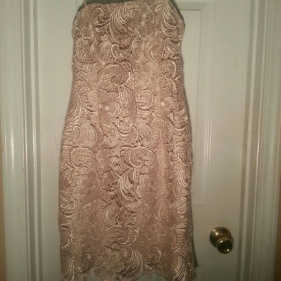 Adrianna Papell Lace Evening Dress | Champagne - Picture 2 of 5