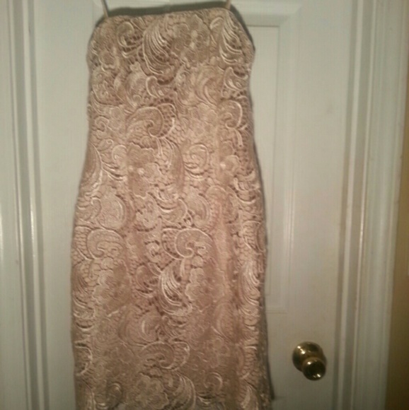 Adrianna Papell Lace Evening Dress | Champagne - Picture 3 of 5