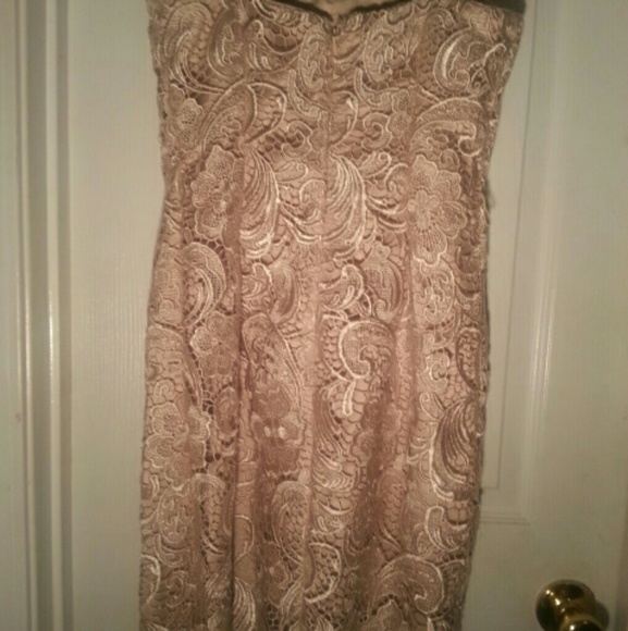 Adrianna Papell Lace Evening Dress | Champagne - Picture 4 of 5