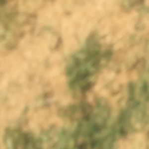 Meet your Posher, Alexa