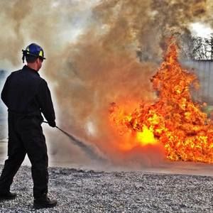 Meet your Posher, Steven