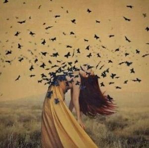 Meet your Posher, Maldonado