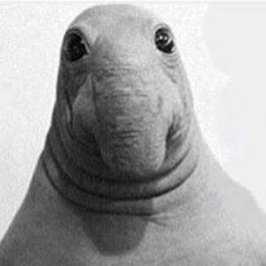 Meet your Posher, Sam