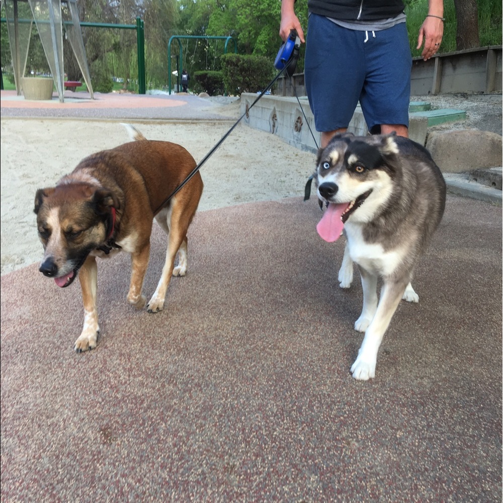 Meet your Posher, Jamie