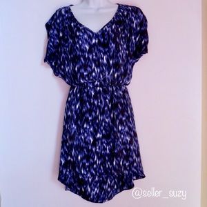 Express Silky V-Neck High-Low Dress