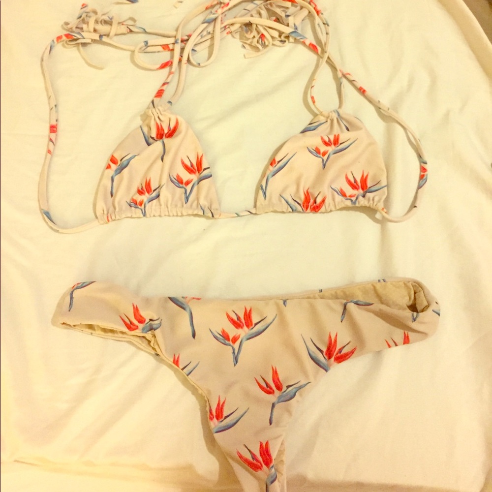 Acacia bird of paradise set