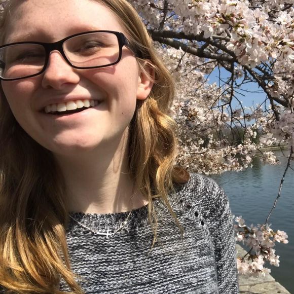 Meet your Posher, Savannah - Picture 1 of 1