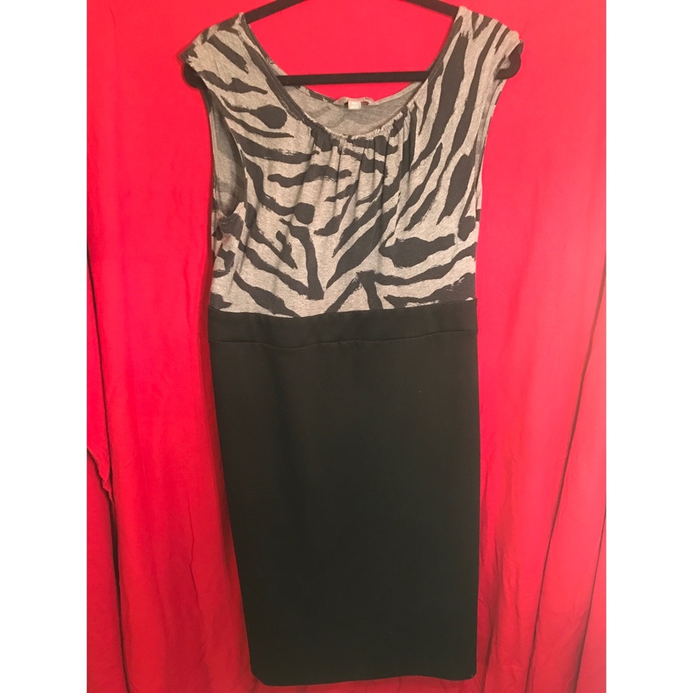 Ladies' Dress