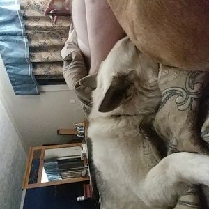 Meet your Posher, Joanne