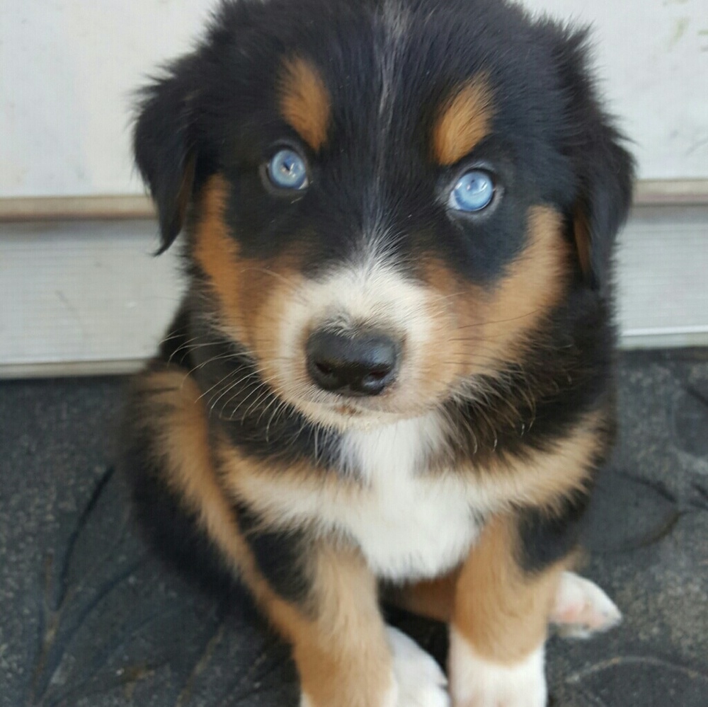 Meet your Posher, Madison