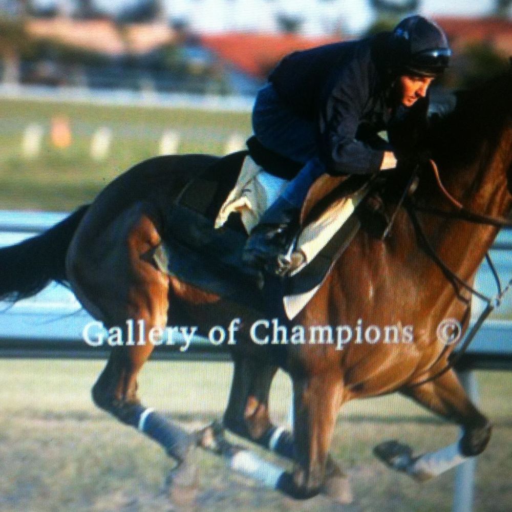 Meet your Posher, Jennie