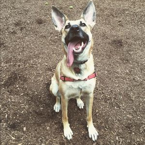 Meet your Posher, Erica