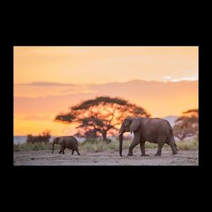 Meet your Posher, Reagan