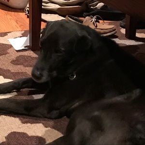 Meet your Posher, Terence