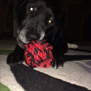 Meet your Posher, Carly