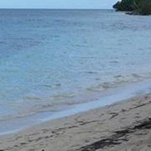 Meet your Posher, Evelyn