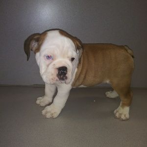 Meet your Posher, Luis