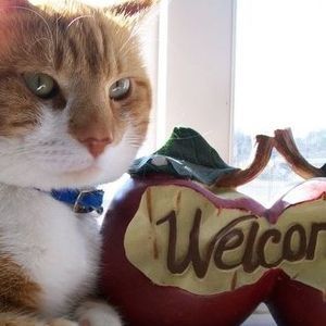 Meet your Posher, Helen