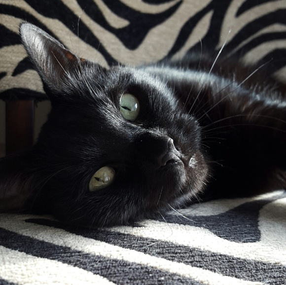 ⭐ ABOUT SE! ⭐ - Picture 5 of 8