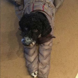 Meet your Posher, Ayanna