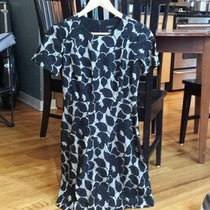 Lace Ann Taylor Dress