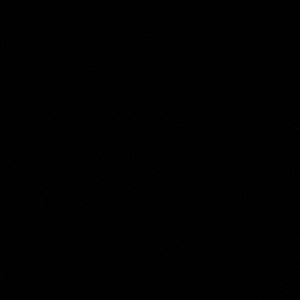 Meet your Posher, Juliet