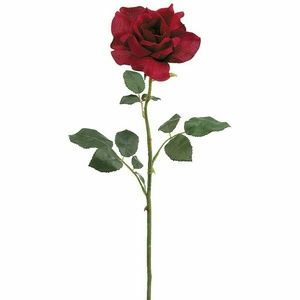 Meet your Posher, Suzanna