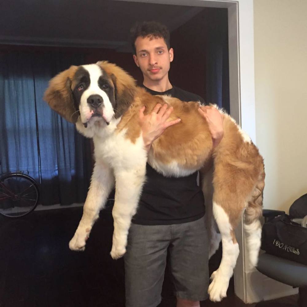 Meet your Posher, James