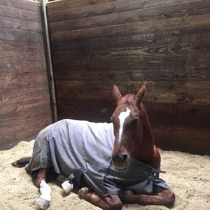 Meet your Posher, Kim