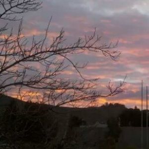 Meet your Posher, Kat