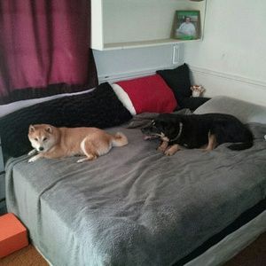 Meet your Posher, Vicki